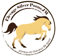 Silver Poons Logo