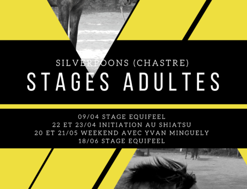 Stages et journées de formations pour les adultes