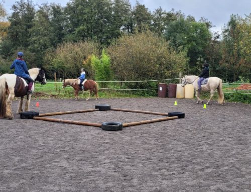 Les cours chez SilverPoons : disponibilités et nouveautés