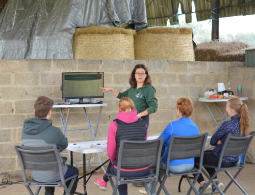 Retour sur la journée « Quand la kinésithérapie vient en aide à l’équitation »