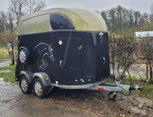 Mise en location de notre van Boeckmann 2 chevaux